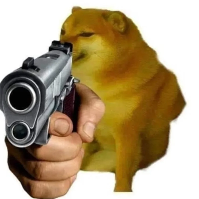 Meme chó vàng hài bựa khó nhịn cười