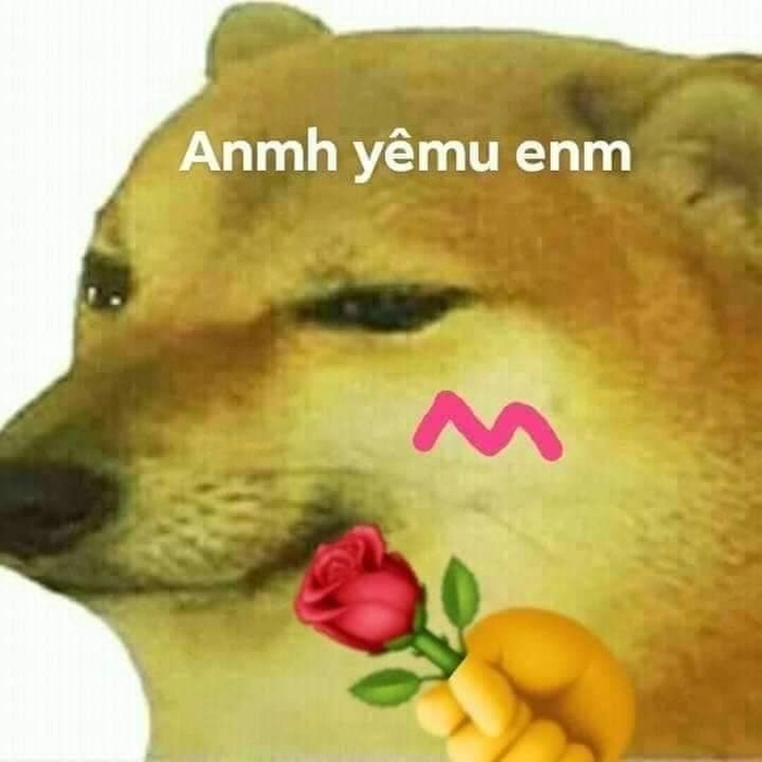 Meme chó vàng troll hài dí dỏm