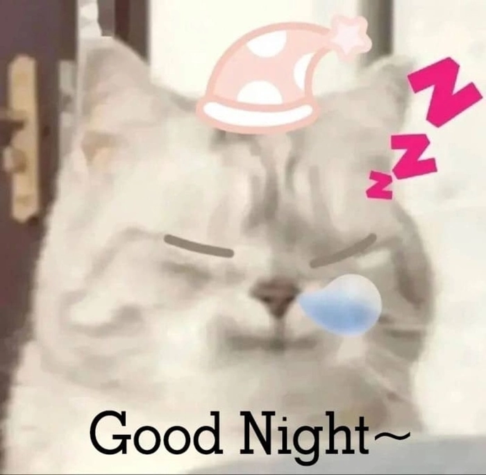 Meme chúc bé ngủ ngon vui nhộn