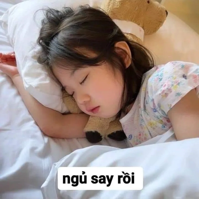 Meme chúc ngủ ngon dễ thương bá đạo