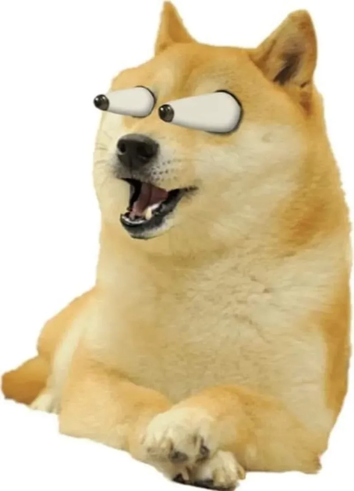 Meme con chó màu vàng chế hài hước