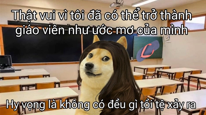 Meme con chó màu vàng lầy lội