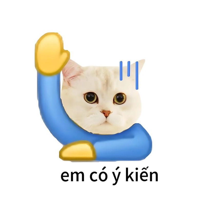 Meme đáng yêu hài hước ngộ nghĩnh
