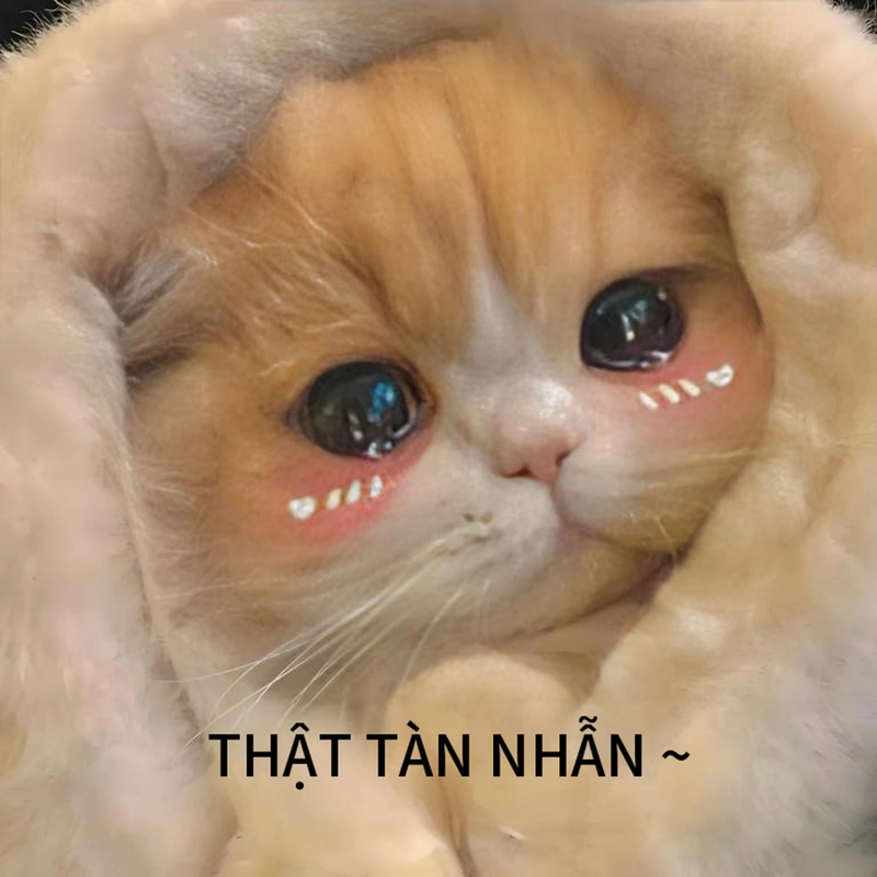 Meme đáng yêu ngộ nghĩnh đáng cưng