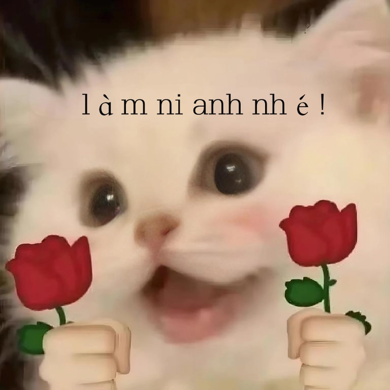 Meme đáng yêu ngộ nghĩnh dễ thương