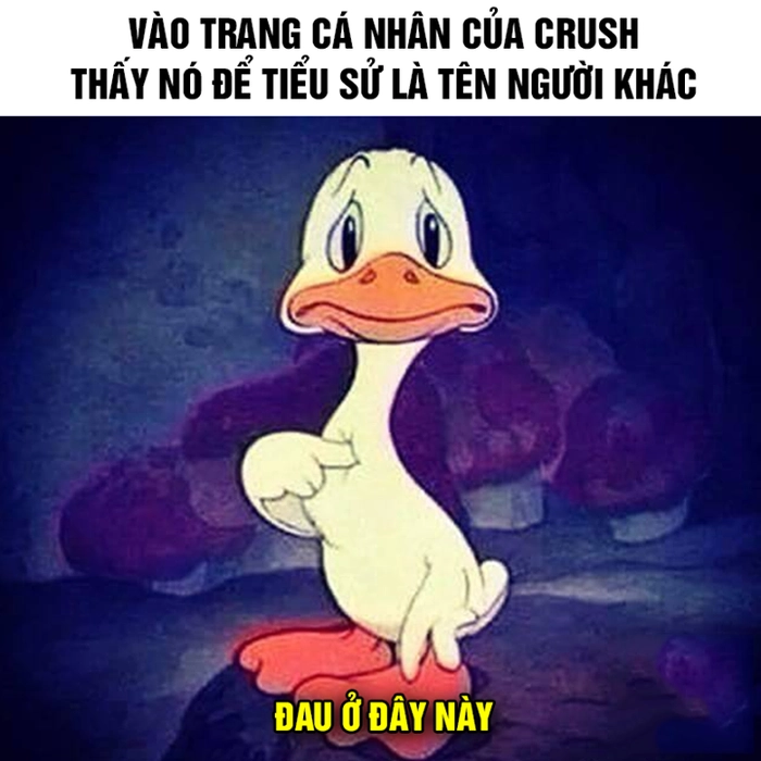 Meme đau ở đây này hot trend