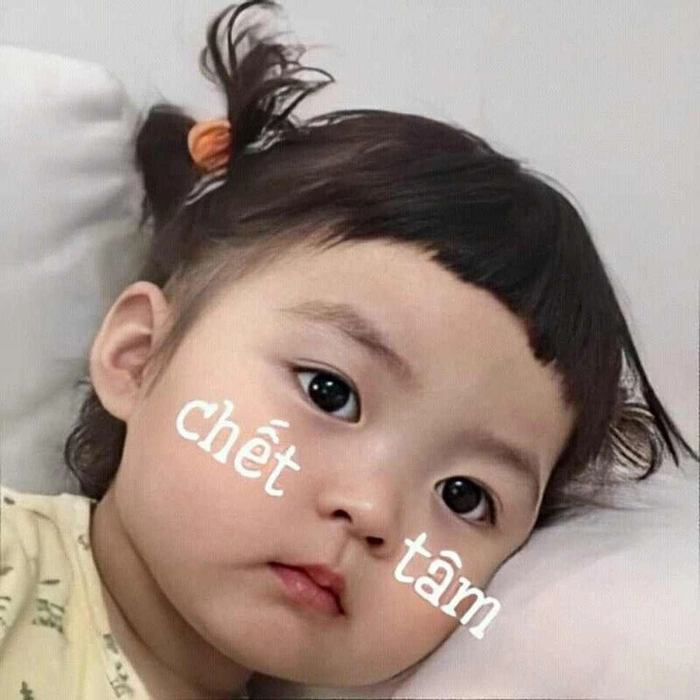 Meme em bé cute dễ thương nhất