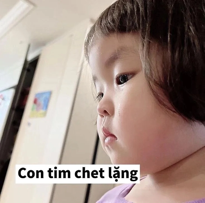 Meme em bé dễ thương hài hước độc lạ