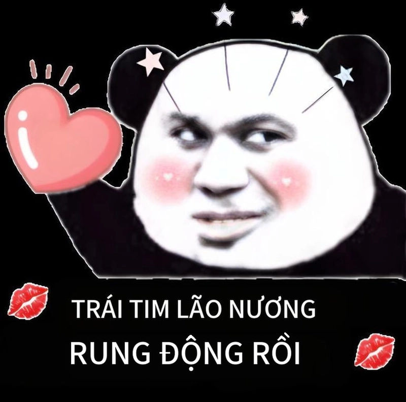 Meme gấu trúc bắn tim cực vui