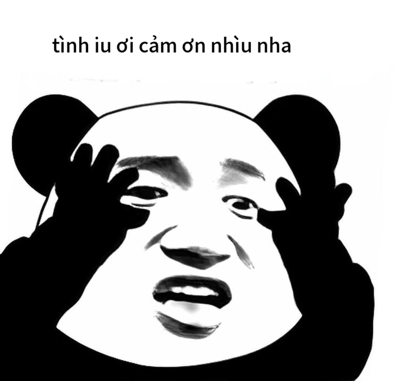 Meme gấu trúc cảm ơn chất chơi