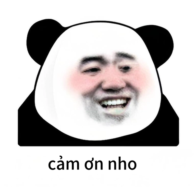 Meme gấu trúc cảm ơn độc đáo