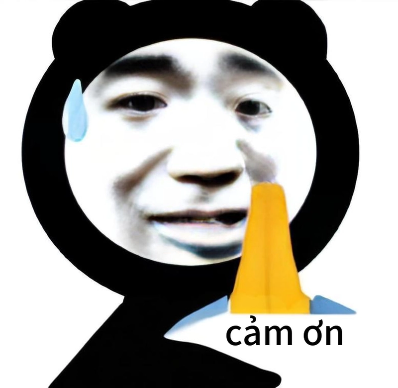 Meme gấu trúc cảm ơn hài chất