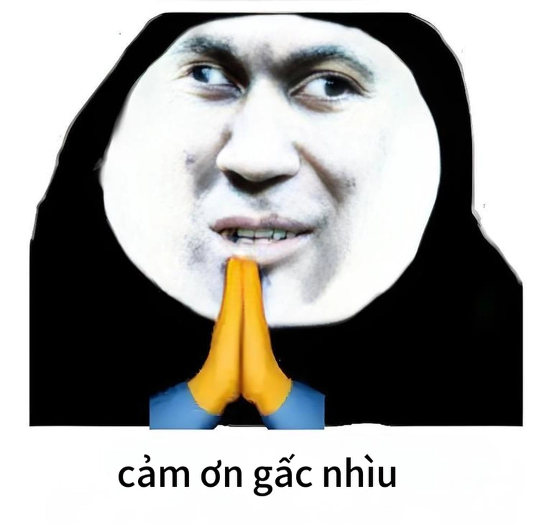 Meme gấu trúc cảm ơn hài hước