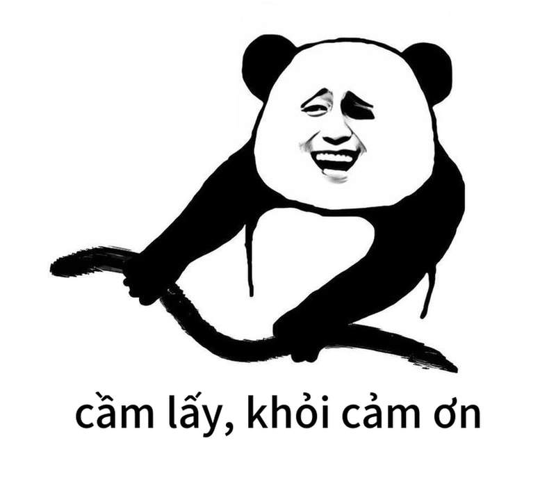 Meme gấu trúc cảm ơn siêu hài