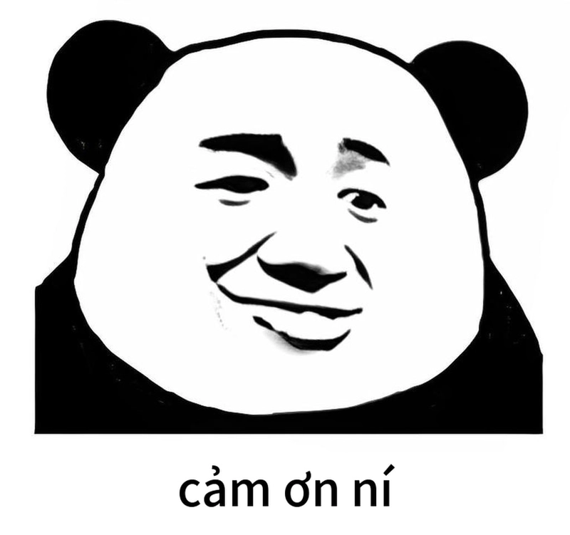 Meme gấu trúc đa tạ vui nhộn