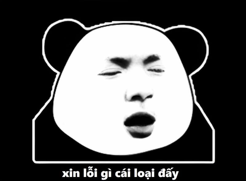 Meme gấu trúc hài hước xin lỗi