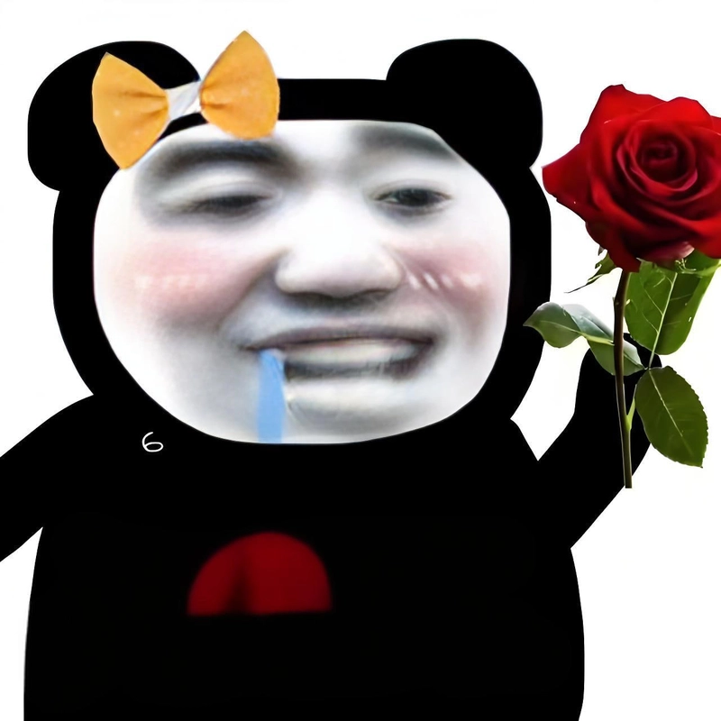 Meme gấu trúc hài lầy cực chất