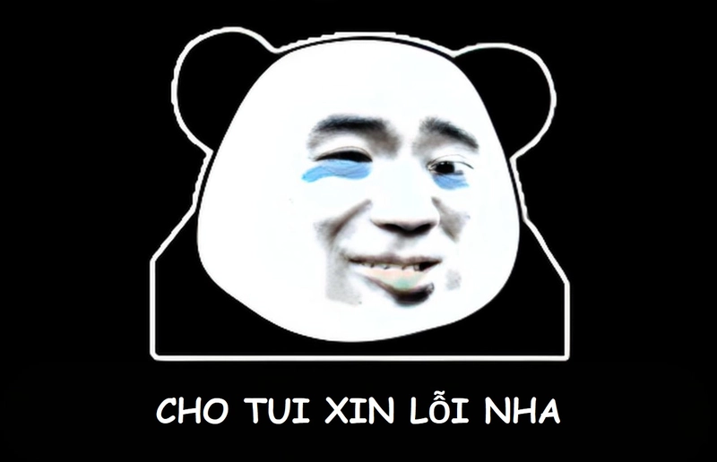 Meme gấu trúc hài xin lỗi dí dỏm