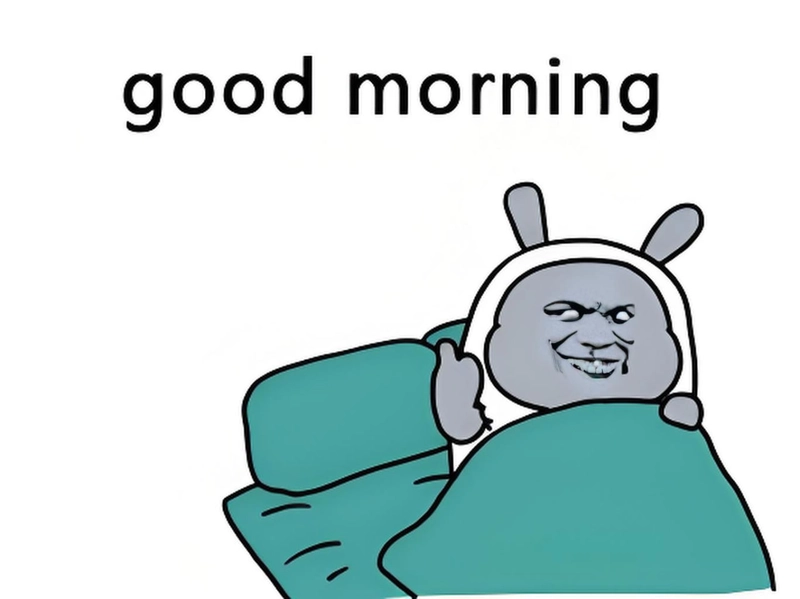 Meme gấu trúc kinh dị hài hước
