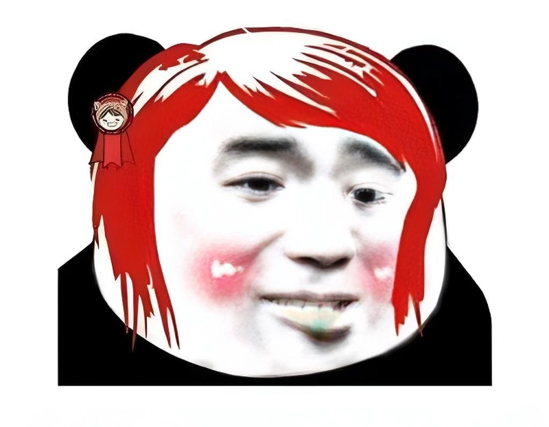 Meme gấu trúc slay phong cách