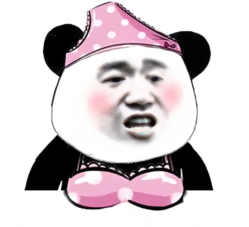 Meme gấu trúc slay vui nhộn