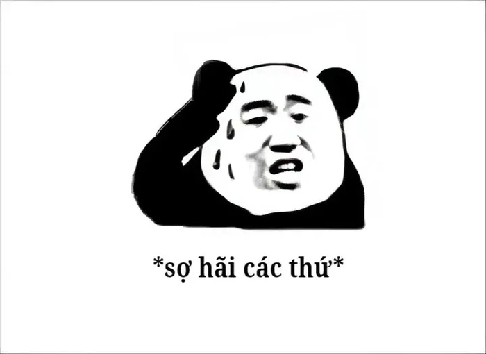 Meme gấu trúc sợ hãi vui nhộn bá đạo