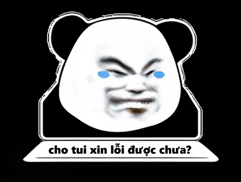 Meme gấu trúc vui nhộn xin lỗi
