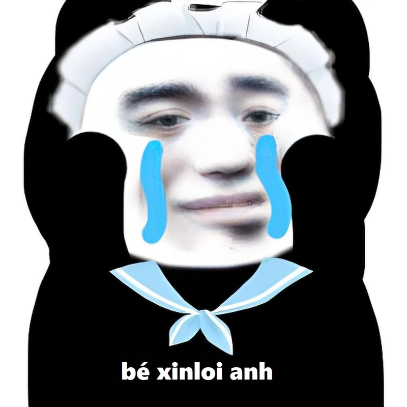 Meme gấu trúc xin lỗi hài lầy