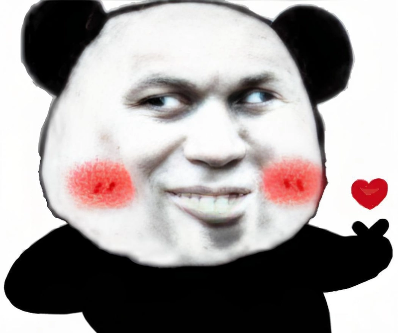 Meme gấu trúc yêu ngọt ngào