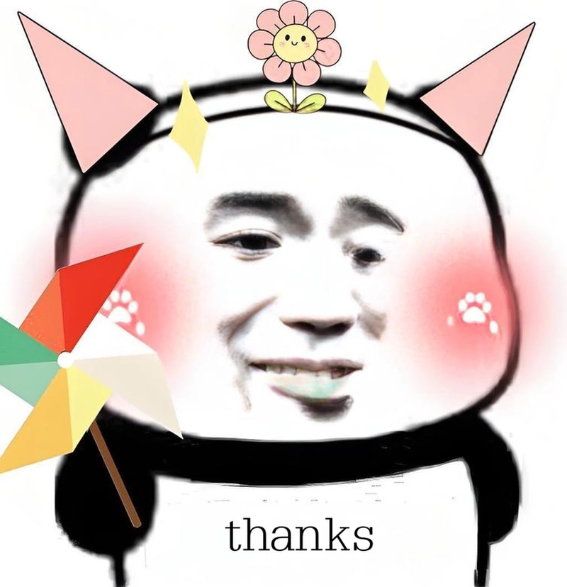 Meme hài gấu trúc ngộ nghĩnh