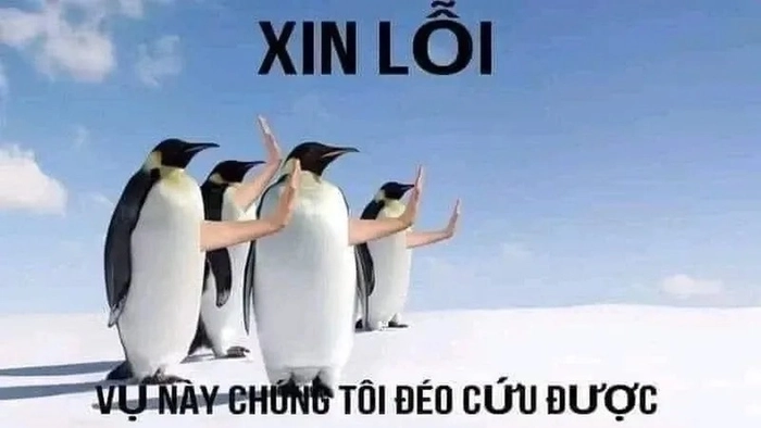 Meme hết cứu cực lầy lội