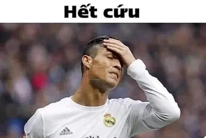 Meme hết cứu hài cười đau bụng