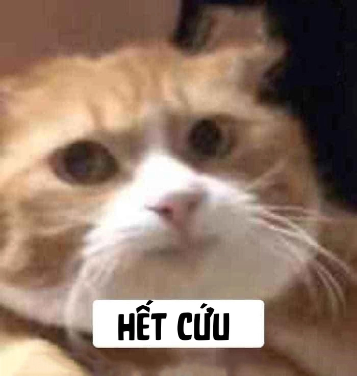 Meme hết cứu nổi bật khắp nơi