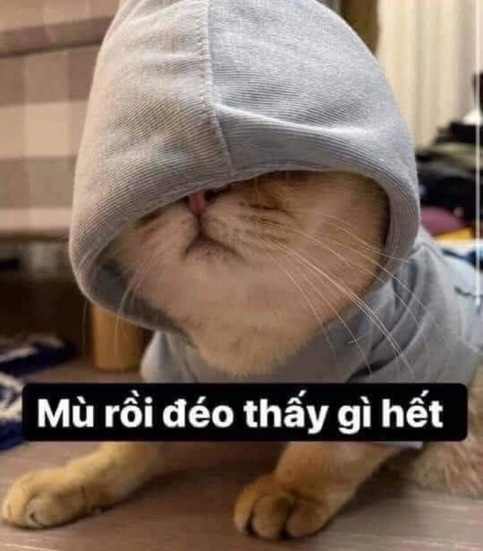 Meme hết cứu nổi cực hot