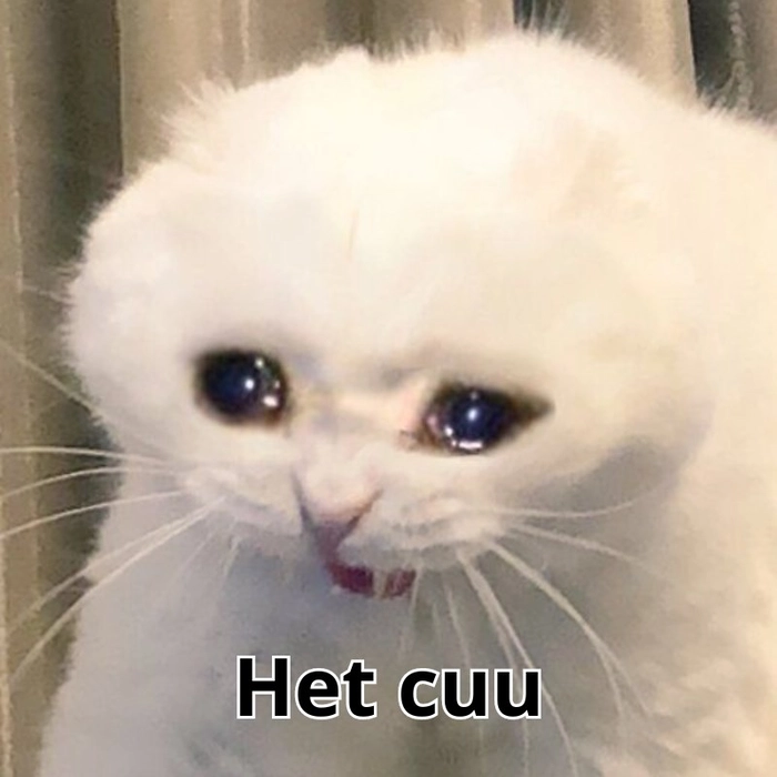 Meme hết cứu nổi trên Facebook