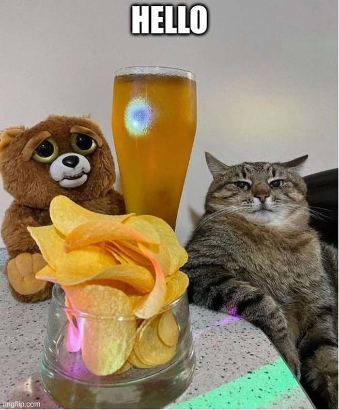 Meme mèo uống bia chill nhẹ
