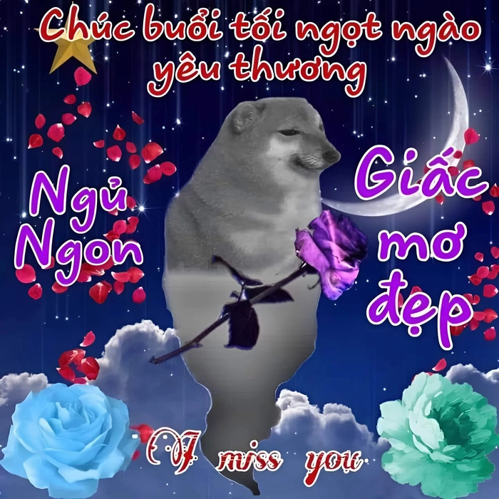Meme ngủ ngon hài hước troll