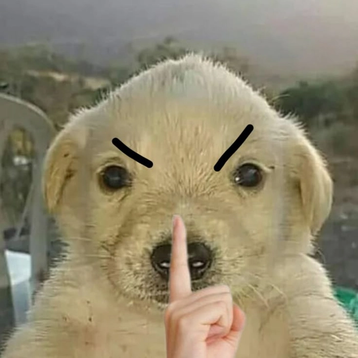 Meme nín chế bá đạo cực hài