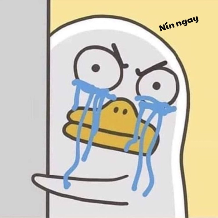 Meme nín hài bựa khó nhịn cười