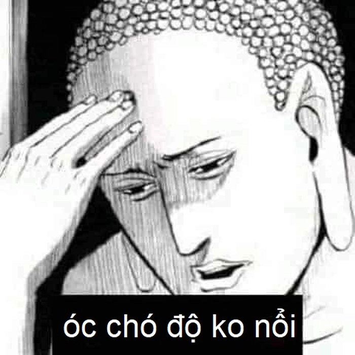 Meme óc chó chế cực chất cười đau bụng