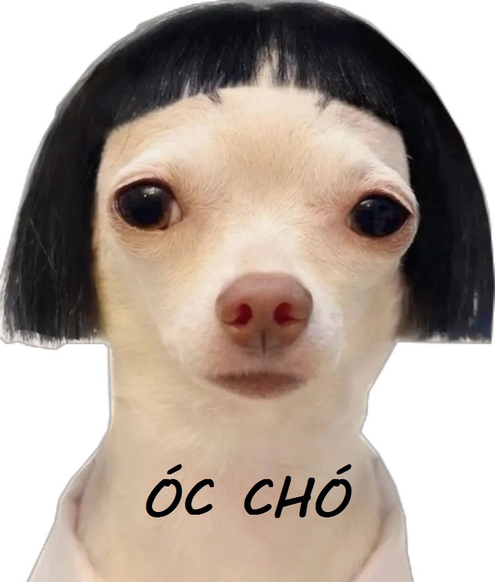 Meme óc chó chế hài hước viral