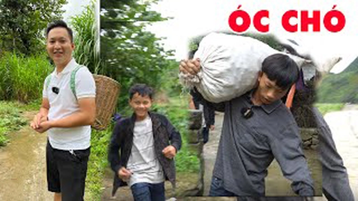 Meme óc chó vui nhộn khó đỡ