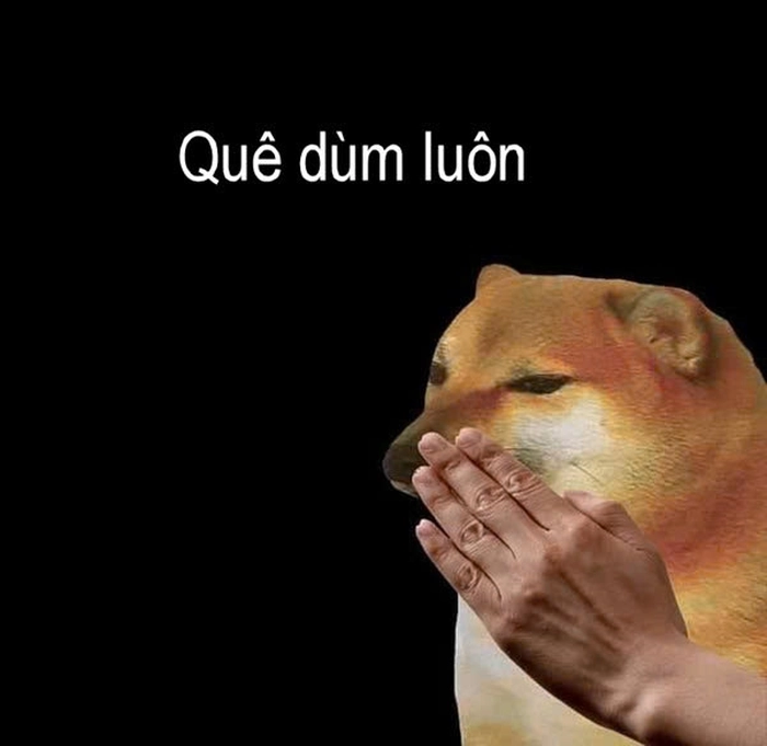 Meme quê chế bá đạo cực chất