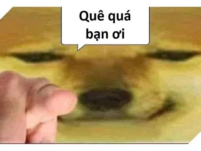 Meme quê đội quần cực bá đạo