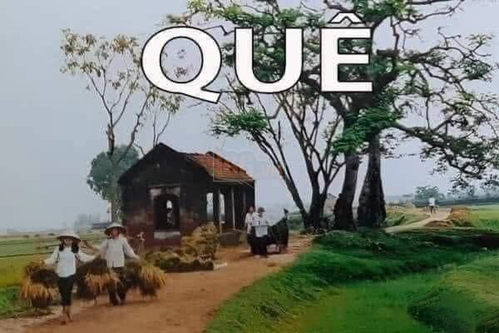 Meme quê vui troll khó nhịn cười