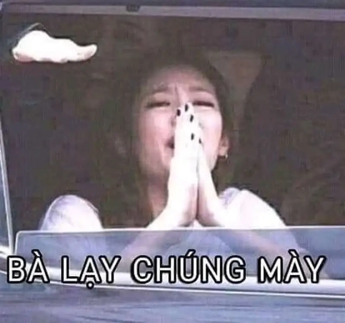 Meme quỳ lạy chất lừ