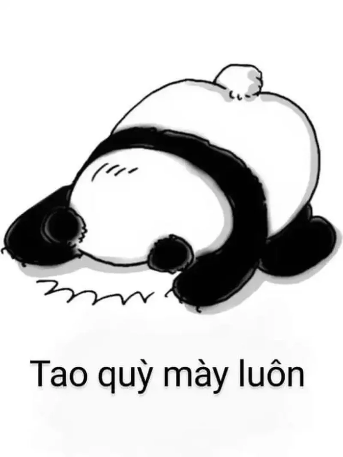 Meme quỳ lạy dễ thương