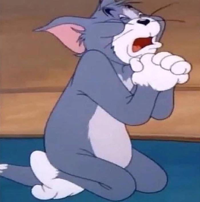 Meme quỳ xin lỗi hài hước