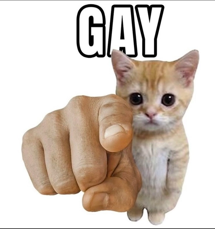 Meme sẽ gầy anime đáng yêu vui nhộn