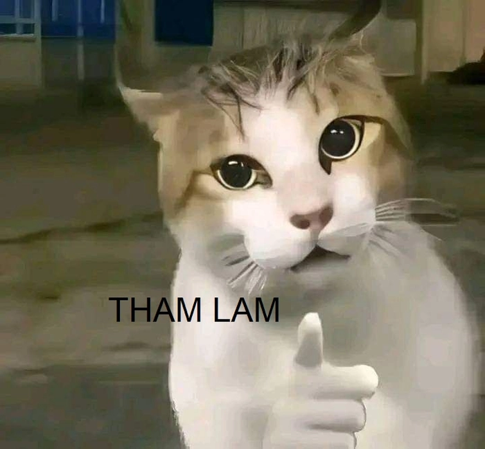 Meme tham lam hài hước lầy lội